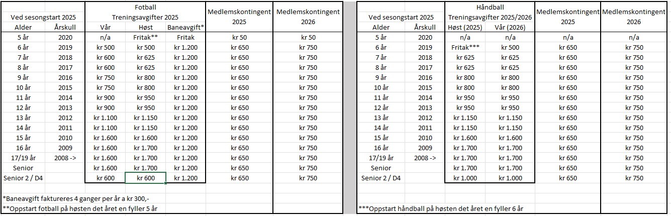 kontigenter 2526.JPG